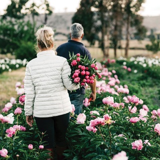 "People ask us what we do, and I will often say we save marriages. Blokes get themselves into trouble and have to buy our peonies to make up for it!" jokes Richard, who owns and runs this 7-hectare peony farm (Weston Farm) alongside his wife Belinda in Brighton, Tasmania.⁠
⁠
Making the move to the then bare canvas of a property when they were just 24, the pair have poured years of love and hard work into achieving its now thriving status. "It's that connection with the earth and it gives you a lot of happiness."⁠
⁠
Take a wander through via the link in bio.⁠
⁠
Photography: @marniehawson⁠
Words: @jessicabellef⁠
⁠
#peonies #peony #flowerfarm #brightontasmania #wildflowers