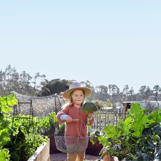 Teaching a child to grow fresh produce can lead them to making healthy eating choices and becoming interested in cooking. They’ll also learn practical skills that will stay with them for their entire lives. Who knows, #gardening could become their passion!⁠
⁠
We invite all school-age children from all over Australia to show us what they are growing in their vegie patches ? ⁠
⁠
There are two great prizes to be won: 1. $5000 for the Best Class or School Harvest Table. 2. An iPad Air (16GB with wi- ), valued at $1175, for the Best Student’s Journal on a #VegetableGarden (their own or their school’s).⁠
⁠
To find out how to enter, and for the full term and conditions, click the link in our bio or pick up a copy of our current issue and flick to page 90. Entries close on November 2nd.
