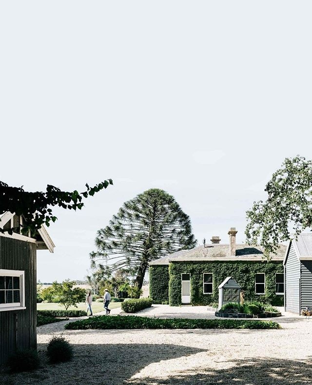 Surrounded by towering bunya-bunya pines and monkey-puzzle trees, this 1860s bluestone homestead at @barunahplains has been lovingly restored by its current owners. It features 13 bedrooms, a ballroom, a formal dining room and an original grand piano. Take the tour in our latest issue, on sale now (or head to our #linkinbio to subscribe). ⠀
.⠀
Words: @virginia_imhoff⠀
Photography: @marniehawson⠀
Styling: @lyndagardener and @bellebrightproject⠀
.⠀
#farmhouse #farmhousestyle #renovation