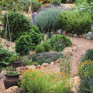Visitors can wander through this #SensoryGarden at @whicherridgewines and learn about flavours as well as food and wine pairing. ⁠
⁠
"People really enjoy touching, smelling and crushing the herbs and edible flowering plants, and you can see little light bulbs come on as they connect what they are seeing and smelling with what they are experiencing in the wine," says owner and wine maker, Cathy.⁠
⁠
Tap the link in our bio to take a tour.⁠
⁠
Photography: @clairetakacs ⁠
⁠
#margaretriverregion #margaretriverwine #WAwine