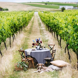 Whether it's signaled by the long-awaited arrival of a weekend or simply the end of a busier than usual day, it's fair to say that a good glass of wine is never far from many Australian's minds.⁠
⁠
While of course there exist coveted regions around the world that produce fine wine, there is truly something to be said for our own homegrown industry. So, if a weekend of wine tasting, wandering rural scapes and fresh air appeals, set off to these beautiful boutique wineries around Australia.⁠
⁠
Start your road trip itinerary by tapping the link in bio.⁠
⁠
Styling: @belljarinteriors⁠
Words: @lucycf94⁠
⁠
#nashdalewines #orangensw #winery #vineyard