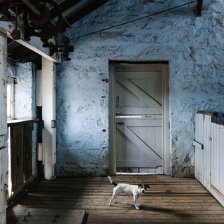While the old t-shaped woolshed at Barunah Plains is still used for its original purpose, it has also become a popular wedding and events space. ⁠
⁠
“We’ve done a huge amount of work to it,” says owner Damian Canny, who undertook most of the restoration work at the property himself. “We fixed the floor, windows, roof and weatherboards.” ⁠
⁠
It seems the woolshed has Scout the Jack Russell’s tick of approval! ⁠
⁠
Tap the link in our profile to wander through the beautifully restored homestead and garden. ⁠
⁠
Photo: @marniehawson⁠
Styling: @lynda.gardener + @bellebrightproject ⁠
⁠
#restoration #woolshed #farmhousecharm #jackrussell