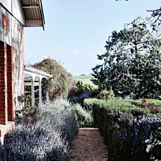 You may never have guessed that this gorgeous established garden belongs to a Barossa Valley home that was once the rectory of a Catholic Church.⁠
⁠
The house itself, when discovered by Cherie and Damien, was in near ruins. In fact, it was renowned cook and much-adored personality Maggie Beer who provided the sage advice that the pair would adopt to restore and renovate this space; "She said don't do things too quickly,  as you won't understand what you need to change until you actually live in it for a while and you've been annoyed by it."⁠
⁠
Step inside via the link in bio.⁠
⁠
Photography: @markroperphotography⁠
Stylist: @lee_blaylock⁠
Words: @ginimhoff⁠
⁠
#lavender #countrygarden #churchconversion #homeconversion #barossavalley