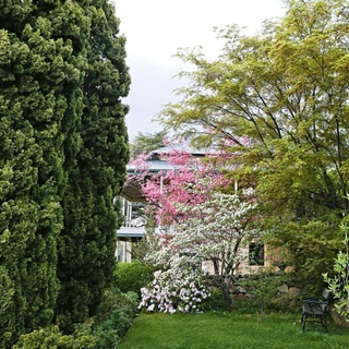 As you enter the drive at Lambrigg, the #homestead is yet to come into sight, but the majestic century-old trees give a clue something special is just around the corner. ⁠
⁠
A generous verandah offers magnificent views over the river flats and to the surrounding blue hills. And around it is a stately #garden with historic associations. Tap the link in our bio to take a tour.⁠
⁠
Photography: @suestubbs_⁠
⁠
#countrygarden #australiangarden #floweringtrees⁠
