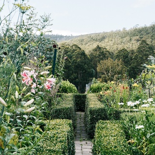 Inspired by the work of English garden designer and television presenter, Monty Don, a flower farmer decided to create her own parterre cutting garden at her home in southern Tasmania. ⁠
⁠
During the warmer months, fennel and euphorbia spring to life - all contained by a border of clipped box hedge. ⁠
⁠
Tap the link in our bio to tour the garden and the family's tiny home, nicknamed 'The Hut'. ⁠
⁠
Photography: @marniehawson⁠
Words: @hilaryburden ⁠
⁠
#flowergardens #flowergardening #parterre #countrygarden #landscaping