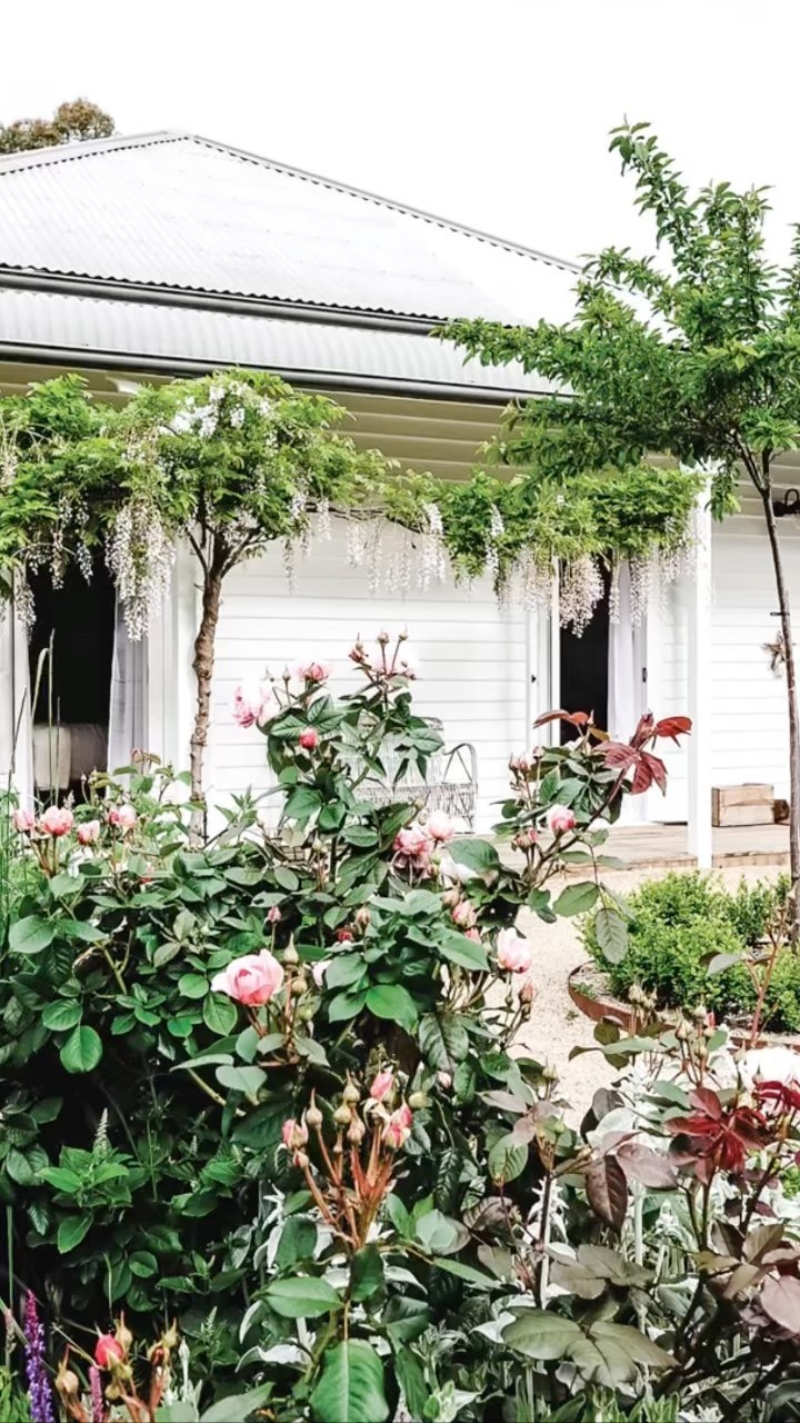 Plump roses, meandering paths and tumbling wisteria; it doesn’t get much more beautiful than Little Oak, a quaint property near Cygnet, Tasmania.

“I have no doubt that Little Oak spoke to who I really was, and it returned me to that,” says creator Pip, who has since entrusted the beloved property to new owners.

Take a closer look via the link in bio.

#cottagegarden #countrygarden #rosegarden #tasmania #englishstylegarden