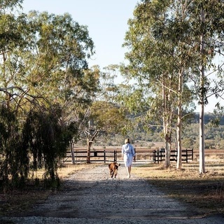 "I have always loved using my hands to make things and in the garden you are painting with nature," says Jane Burrell, who tends to Woodlands, a century-old garden near Narrabri, NSW. ⁠
⁠
Water has always been a precious resource at Woodlands, and the survival of the garden through drought, is a testament to Jane's efforts to use water as carefully as possible.⁠
⁠
To explore the garden, click the link in our bio.⁠
⁠
Photography: @brigidarnottphotography⁠
⁠
⁠
#drought #droughttolerant #gardeninspiration #bushgardens