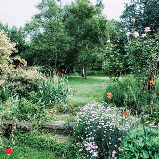 Acclaimed painter Lucy Culliton's bright, joyful garden is filled with beloved rescue animals and fiery poppies.⁠
⁠
"I'm never bored as there's always things to do... a garden is never finished," she says."⁠
⁠
Tap the link in our profile to wander through the garden.⁠
⁠
Photography: @mtwee1⁠
⁠
#poppies #countrygarden #cottagegarden #australianartist