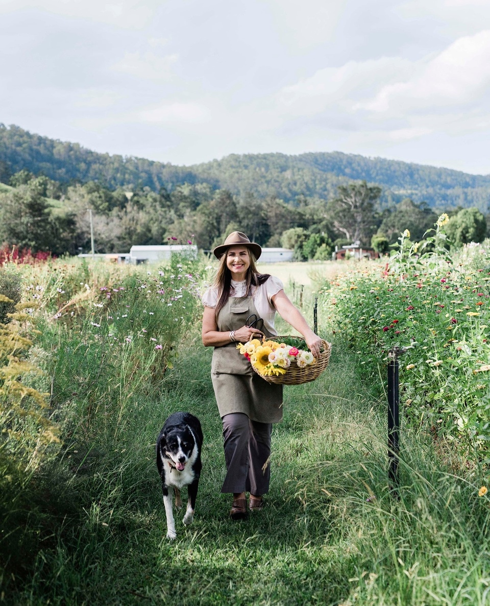 When Simone Jelley is harvesting flowers on her farm in south-east Queensland, her Border Collie, Buster, is always close by. ⁠
⁠
"He's a beautiful companion and he will sit until dark and wait for me to finish," she says. ⁠
⁠
Tap the link in our profile to wander through the fields of @pretty.produce, now abloom with sunflowers, cornflowers, zinnias and more.⁠
⁠
Photography: @hannahpuechmarin⁠
Words: @penny.carroll