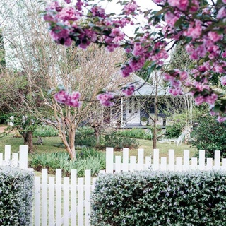 We're calling it: there is no better time of year than spring. You can smell it in the air, the #jasmine and honeysuckle popping their heads out after a chilly winter, the petals of cherry #blossom trees carpeting a lawn - is there anything more beautiful?⁠
⁠
To celebrate the first day of #spring, we've created a stunning collection of gardens in full bloom. Link in bio.⁠
⁠
Photography: @abbie_melle⁠
⁠
#flowers #frontgarden #springtime 