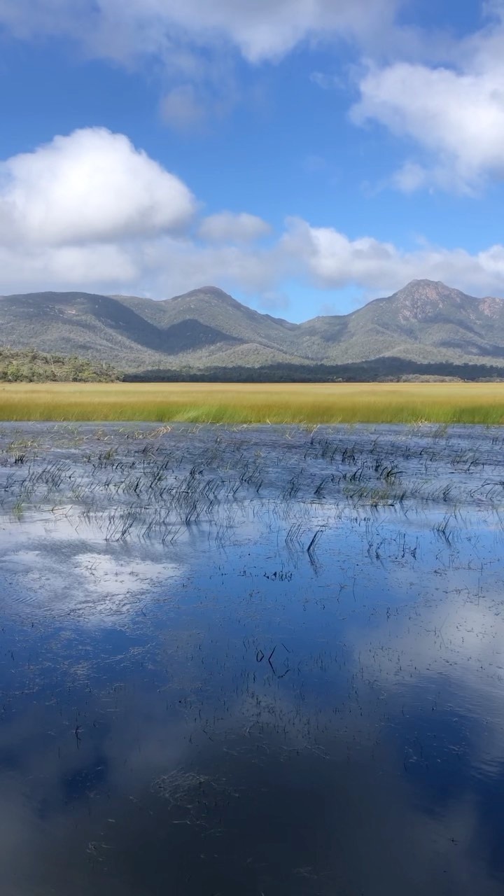 Reasons why you should visit Freycinet, TAS include… Is this stunning destination on your travel bucket list? ✈️ 

#tourismtasmania #picnicisland #freycinet #travelaus