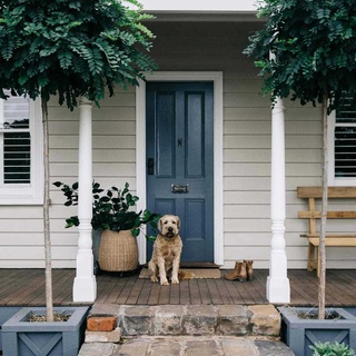 17 of Australia’s prettiest country cottages ?

#countrycottage #weatherboardhouse #countryhome #countrystylemagazineaustralia