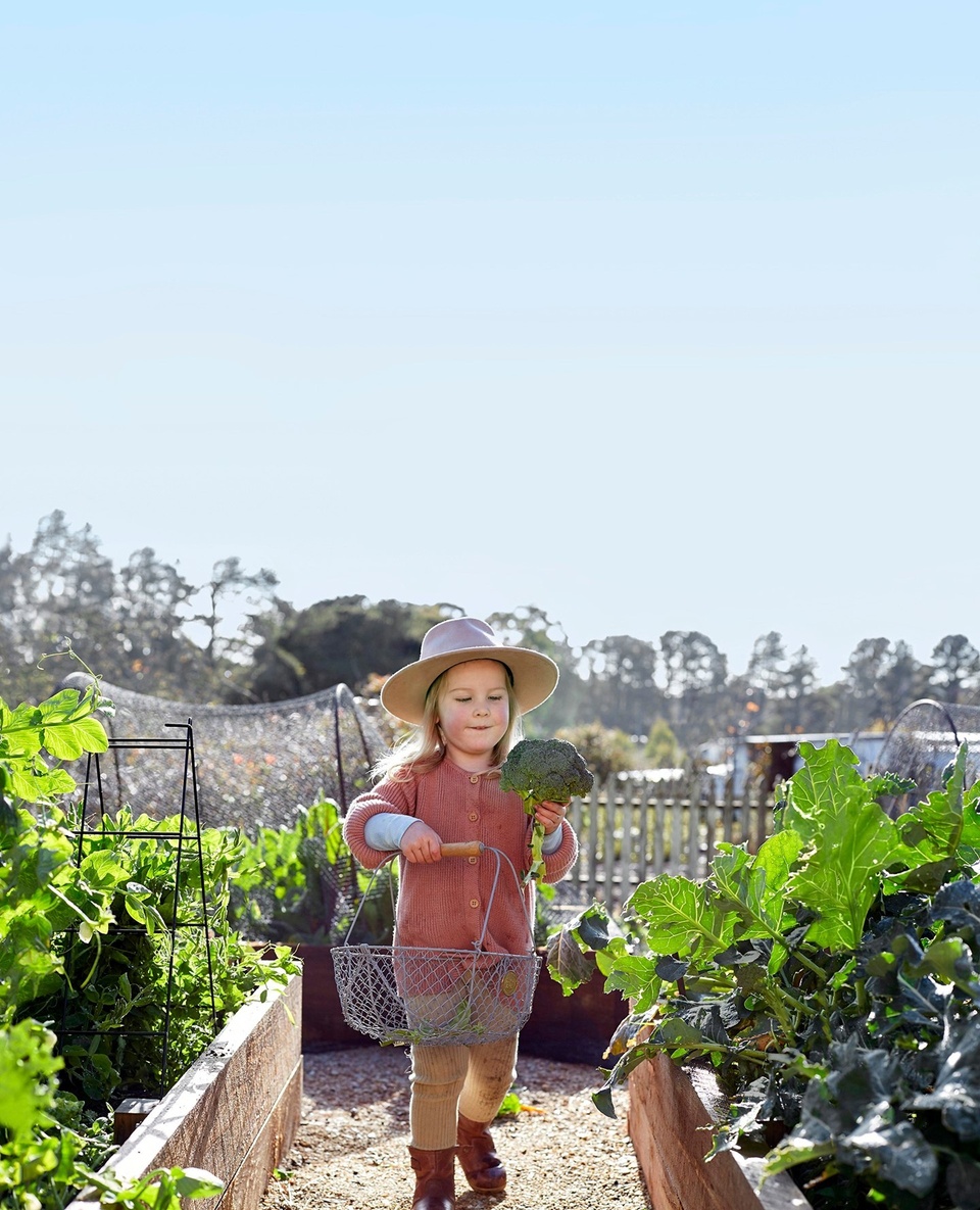 Teaching a child to grow fresh produce can lead them to making healthy eating choices and becoming interested in cooking. They’ll also learn practical skills that will stay with them for their entire lives. Who knows, #gardening could become their passion!⁠
⁠
We invite all school-age children from all over Australia to show us what they are growing in their vegie patches ? ⁠
⁠
There are two great prizes to be won: 1. $5000 for the Best Class or School Harvest Table. 2. An iPad Air (16GB with wi- ), valued at $1175, for the Best Student’s Journal on a #VegetableGarden (their own or their school’s).⁠
⁠
To find out how to enter, and for the full term and conditions, click the link in our bio or pick up a copy of our current issue and flick to page 90. Entries close on November 2nd.