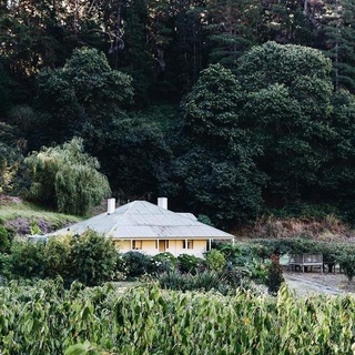 Nestled among picturesque orchards and sheep-grazing country is the childhood home of Australia’s first female Foreign Minister @juliebishopmp. To this day, she loves coming home to the Adelaide Hills, where she says “The values and principles that I live by were obviously instilled in me.” Tour the property and hear all about Julie’s childhood, in her own words, by clicking the link in bio.⁠
⁠
#farmhousestyle⁠
#farmlife⁠
#countryliving⁠
⁠
⁠
Words: Victoria Carey⁠
Photography: @abbie_melle