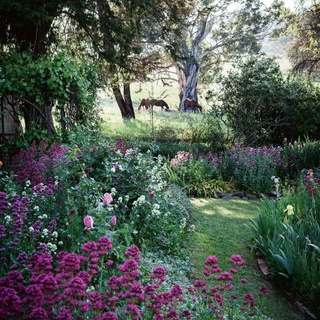 "It is a relaxing #garden," says the owner of this enchanting oasis in northern NSW. "The garden can be appreciated from many different angles, and I enjoy the colour schemes that emerge throughout the seasons, from yellow and white to pink."⁠
⁠
Tap the link in our bio to take a wander. ⁠
⁠
Photography: @mtwee1⁠
⁠
#countrygarden #australiangarden #flowerbed #farmgarden