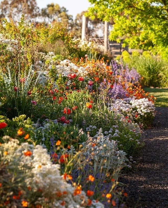 It's the first day of Spring, which means warmer weather and beautiful blooms are on the way!⁠
⁠
Cottage gardens are especially in their element this season - leafy green vines entwine verandah posts, chook pens and potting sheds while flowers unfurl in clashing colours. ⁠
⁠
Tap the link in our profile to see 8 stunning examples of cottage gardens that will inspire you to get planting this season.⁠
⁠
Photography: @simongriffiths