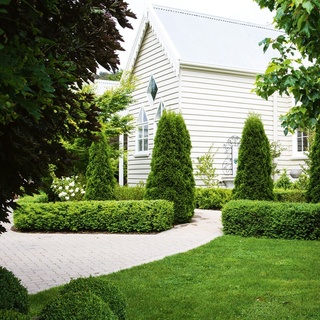 In the small Tasmanian town of Underwood, you’ll find a restored former Methodist Church surrounded by a heavenly garden brimming with camellias, box hedges and soft sweeps of roses and lavender. It may be hard to believe, but just twelve years ago the garden didn’t even exist.⁠ ⁠ ⁠
⁠
“The garden was a paddock when we first bought it,” says self-taught gardener Sally Bell, who along with partner Jim Smith, created the structural, trans-seasonal garden from scratch.⁠ ⁠ ⁠
⁠
Click the link in our bio to wander through the garden.⁠ ⁠ ⁠
⁠
Photography: @clairetakacs⁠ ⁠ ⁠ ⁠ ⁠
⁠
#gardening #gardendesign #landscaping #gardenlife #gardeninspiration #hedge