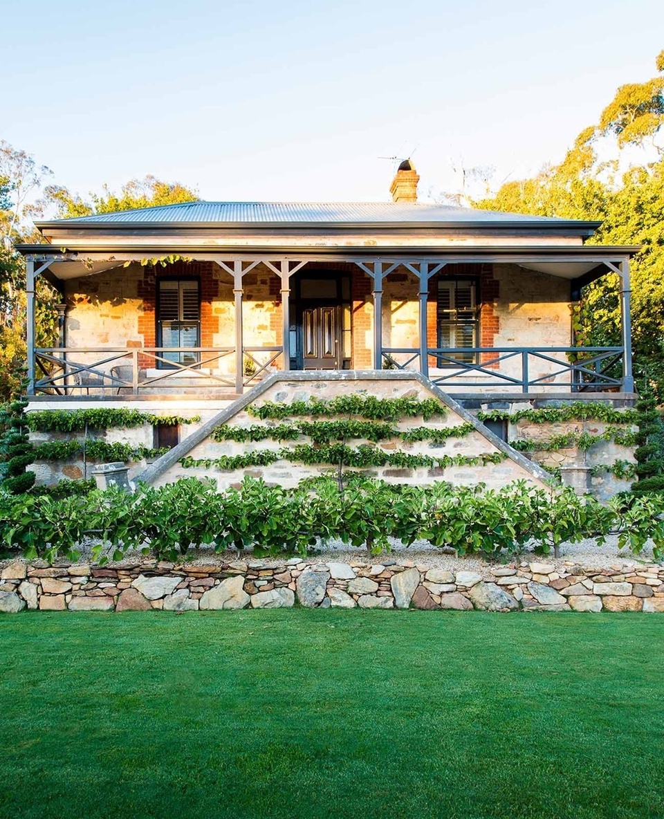 This sprawling Adelaide garden began in 2012 when owner Brenton Roberts, a national sales manager, decided to dabble in garden design. ⁠
⁠
Many of the plants in the garden (including that lush green lawn, if you can believe it) were grown from cuttings and painstakingly planted by Brenton and his family.⁠
⁠
Espaliered pear trees initially intended for the driveway now wrap around the stone cottage’s exterior, while an edible fig hedge adds softness and encourages guess to wander around the garden. ⁠
⁠
To explore the garden, tap the link in our profile.⁠
⁠
Photography: @clairetakacs ⁠
⁠
#countrygarden #espalier #cottagegarden #propagation #gardendesign #lawn
