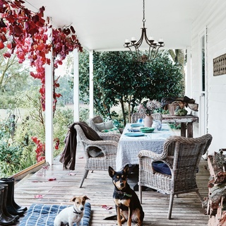 Home to Georgie and William Leckey, and their children - Eliza, 15, and Hugh, 13, this property, dubbed 'Heatherly', offers a picture-book country life.⁠
⁠
While primarily a grazing property (home to cattle and sheep crossbred by Hugh), the property's surprising asset is that it is host to 12 hectares of green tea bushes. As for the house itself, it's a constantly-evolving reflection of the family's lives. "[It] is full of special pieces that have been collected over two generations, and have been edited and edited. The 'decorated house' look takes a long time to achieve," says Georgie.⁠
⁠
Step inside via the link in bio.⁠
⁠
Photography: @lisacohenphoto⁠
Words: @ginimhoff⁠
⁠
#autumnleaves #verandah #countryverandah #countrydogs