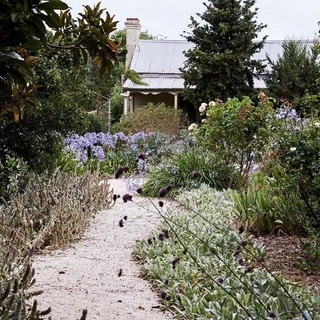 Originally designed by Edna Walling in the late 1930s, the gardens at @eurambeen eventually fell into complete disrepair. Looking for a slower pace of life, one couple stumbled upon the property and, despite the fact that their former garden was only “the size of [a] dining table,” they created a five-year plan and set to work. This is what the garden looks like today. Meander through the garden, which features a restored pergola and stone walls by clicking the link in bio. ﻿
﻿
﻿
#landscaping﻿
#aloe﻿
#droughttolerant﻿
﻿
﻿
Words: @virginia_imhoff﻿
Photo: @markroperphotography
