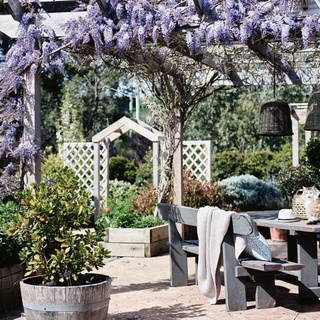 Inspired by garden visits in France, the owners of this country home on Victoria's Mornington Peninsula have created and paved #patio ensconced by #wisteria arbours, overlooking their productive orchard and vegetable garden.⁠
⁠
Tap the link in our bio for more inviting #outdoorliving zones that make the most of their bucolic surroundings.⁠
⁠
Photography: @markroperphotography⁠
⁠
#pergola #outdoorseating #countrygarden 