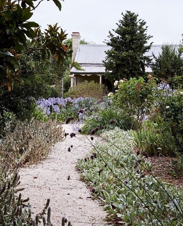 Originally designed by Edna Walling in the late 1930s, the gardens at @eurambeen eventually fell into complete disrepair. Looking for a slower pace of life, one couple stumbled upon the property and, despite the fact that their former garden was only “the size of [a] dining table,” they created a five-year plan and set to work. This is what the garden looks like today. Meander through the garden, which features a restored pergola and stone walls by clicking the link in bio. ﻿
﻿
﻿
#landscaping﻿
#aloe﻿
#droughttolerant﻿
﻿
﻿
Words: @virginia_imhoff﻿
Photo: @markroperphotography