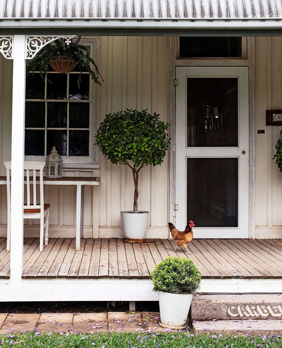 John Knight always knew he wanted to restore the crumbling homestead on his family property, but it took the prospect of a wedding to finally kick the renovation into gear. ⁠
⁠
Originally built in 1891 at the cost of 500 pounds, Carbeen is today home to the fifth-generation of the Knight family. ⁠
⁠
Tap the link in our profile to step inside and to read more about the history of this idyllic country home. ⁠
⁠
Photography: @brigidarnottphotography⁠
⁠
#verandah #farmhouse #farmhousefeatures #frontdoor #homeexterior