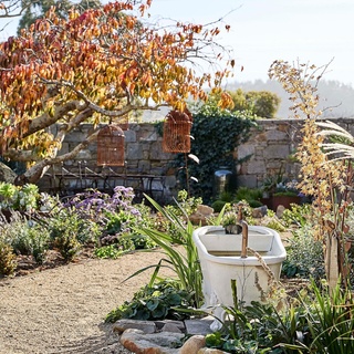 Quirky, wild and beautiful, this country garden belongs to a sandstone Georgian mansion in Richmond, Tasmania.⁠
⁠
Owned by Kylie Opray and her husband Dr Mark Spearpoint, the home has been lovingly restored since they purchased it with the help of a local builder experienced in working on heritage homes. "It's just heaven," says Kylie. ⁠
⁠
Take a tour via the link in bio.⁠
⁠
Photography: @nicgossage⁠
Styling: @_michellecrawford⁠
⁠
#outdoorbath #wildgarden #countrygarden #gardenwall