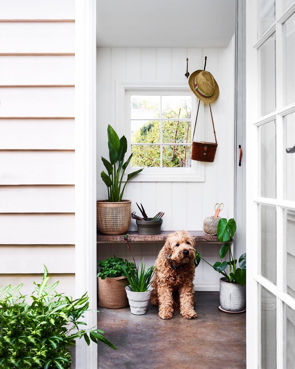 Acre of Roses cottage in Trentham, VIC is one of the most beloved properties ever featured in the pages of Country Style. And while more than 1500 roses line the paddock of the flower farm, a love of plants continues indoors. ⁠
⁠
The cottage is decorated with freshly cut roses, penny gum leaves and countless indoor plants. ⁠
⁠
Tap the link in our profile to follow Keegan the Irish Wheaten terrier inside and discover 7 inspiring ways to decorate with plants.⁠
⁠
Photography: @markroperphotography⁠
Styling: @lee_blaylock⁠
⁠
#indoorplants #plantstyling #countryhome #countrydecor #cottagecore #cottagestyle