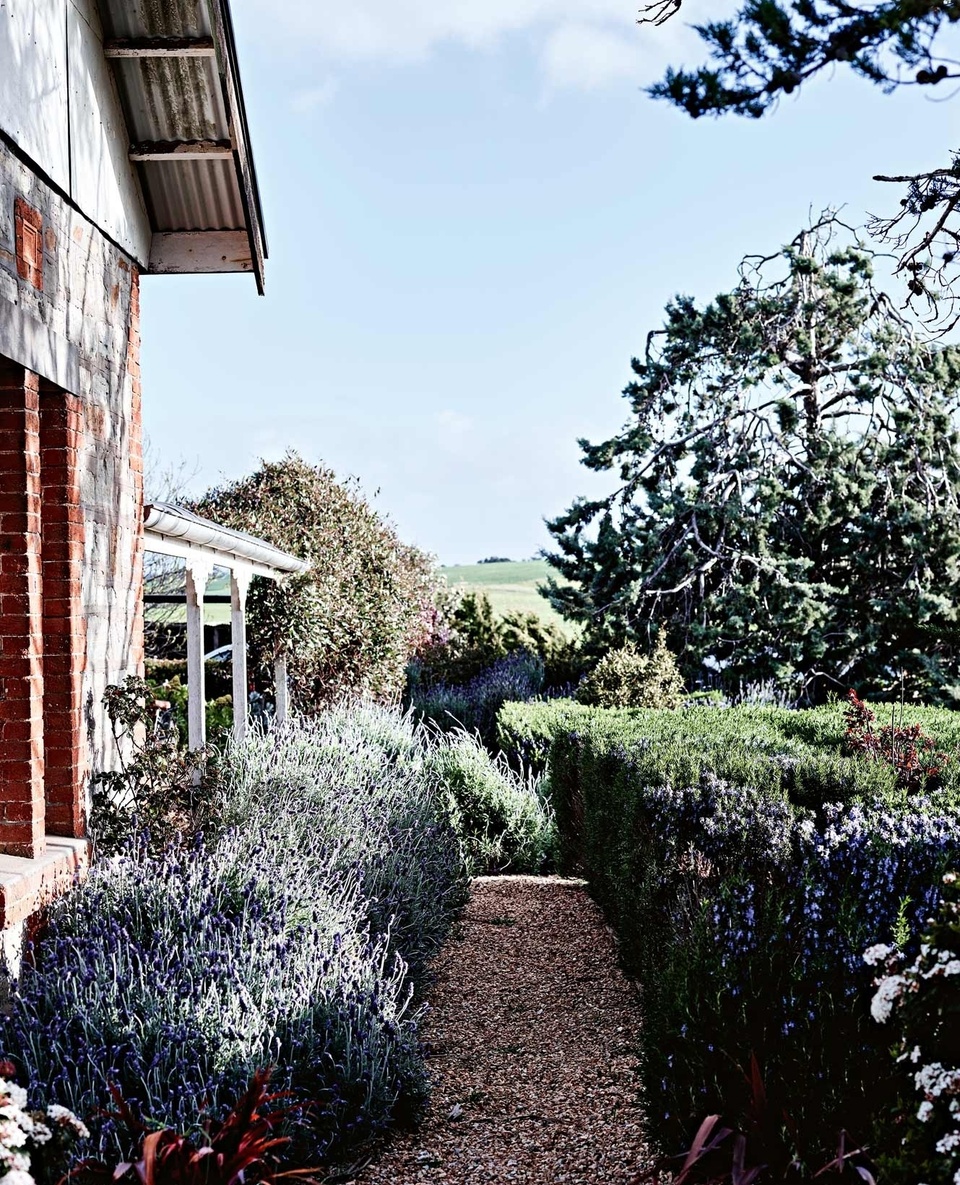 You may never have guessed that this gorgeous established garden belongs to a Barossa Valley home that was once the rectory of a Catholic Church.⁠
⁠
The house itself, when discovered by Cherie and Damien, was in near ruins. In fact, it was renowned cook and much-adored personality Maggie Beer who provided the sage advice that the pair would adopt to restore and renovate this space; "She said don't do things too quickly,  as you won't understand what you need to change until you actually live in it for a while and you've been annoyed by it."⁠
⁠
Step inside via the link in bio.⁠
⁠
Photography: @markroperphotography⁠
Stylist: @lee_blaylock⁠
Words: @ginimhoff⁠
⁠
#lavender #countrygarden #churchconversion #homeconversion #barossavalley