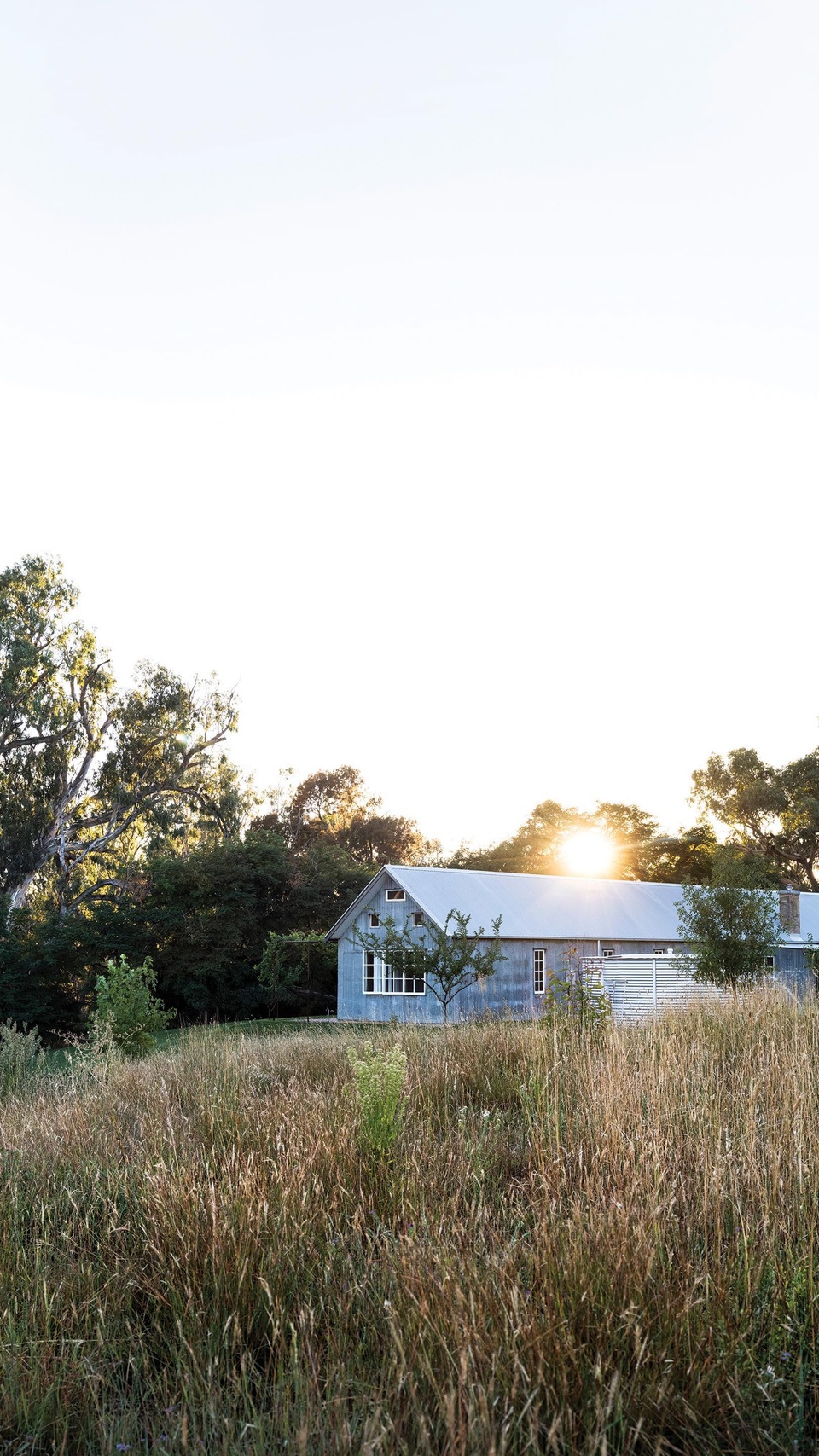 Using salvaged materials and plenty of ingenuity, a young couple in Jugiong, NSW, has reinvented an old shearer’s quarters.

Step inside via the link in bio.

#countryhome #shedconversion #jugiongnsw #countryairbnb #countryhomestay