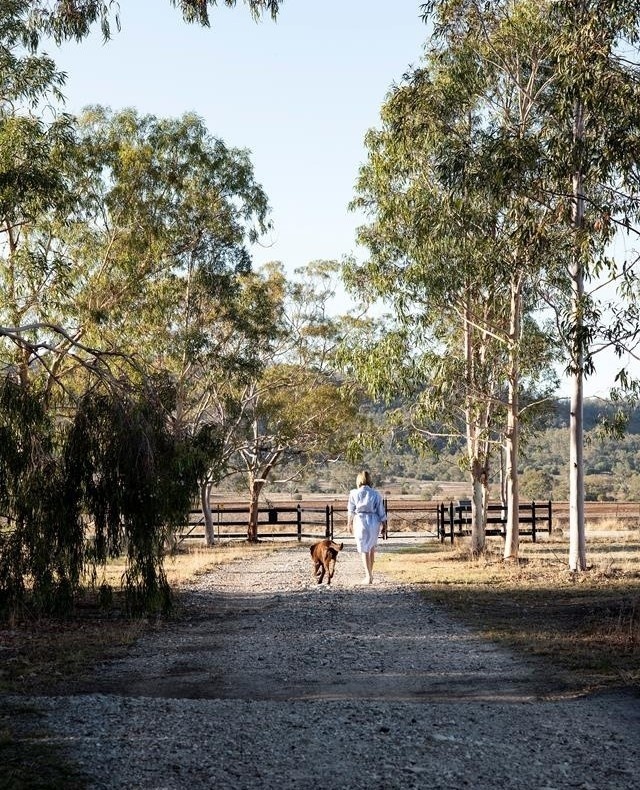"I have always loved using my hands to make things and in the garden you are painting with nature," says Jane Burrell, who tends to Woodlands, a century-old garden near Narrabri, NSW. ⁠
⁠
Water has always been a precious resource at Woodlands, and the survival of the garden through drought, is a testament to Jane's efforts to use water as carefully as possible.⁠
⁠
To explore the garden, click the link in our bio.⁠
⁠
Photography: @brigidarnottphotography⁠
⁠
⁠
#drought #droughttolerant #gardeninspiration #bushgardens
