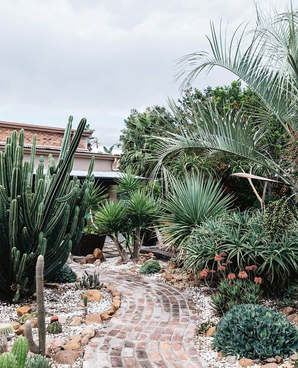 Artist Philip Drummond's cacti garden in the Hunter Valley is an ever-evolving work of art. ⁠
⁠
Filled with towering cacti and shady native Australian trees, the water-wise garden is a rich source of inspiration for the artist, who is a self-taught still-life painter. ⁠
⁠
Tap the link in our profile to explore the garden and learn more about Philip's artistic process.⁠
⁠
Photography: @abbie_melle ⁠
⁠
⁠
#succulentgarden #succulent #cactus #droughttolerant