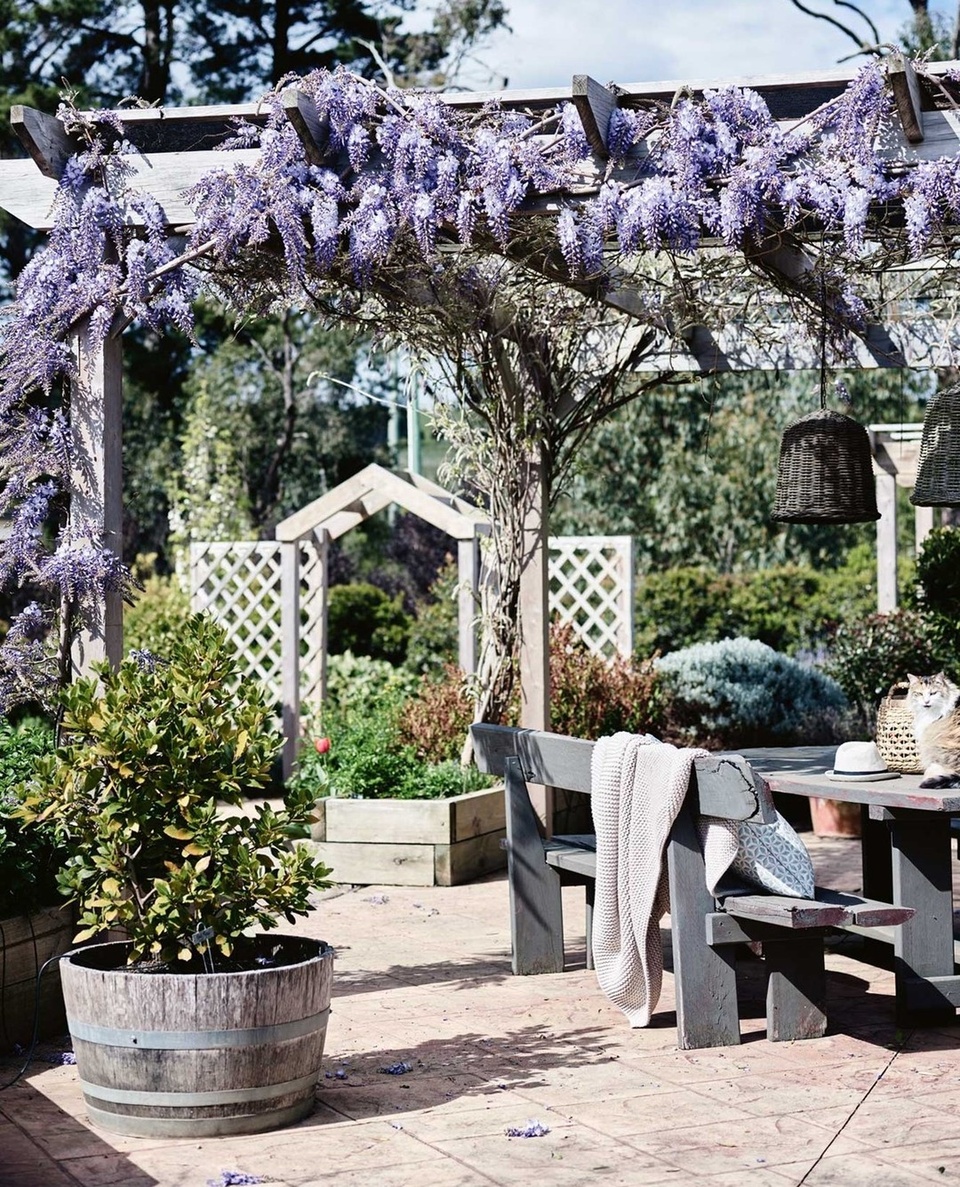 Inspired by garden visits in France, the owners of this country home on Victoria's Mornington Peninsula have created and paved #patio ensconced by #wisteria arbours, overlooking their productive orchard and vegetable garden.⁠
⁠
Tap the link in our bio for more inviting #outdoorliving zones that make the most of their bucolic surroundings.⁠
⁠
Photography: @markroperphotography⁠
⁠
#pergola #outdoorseating #countrygarden 