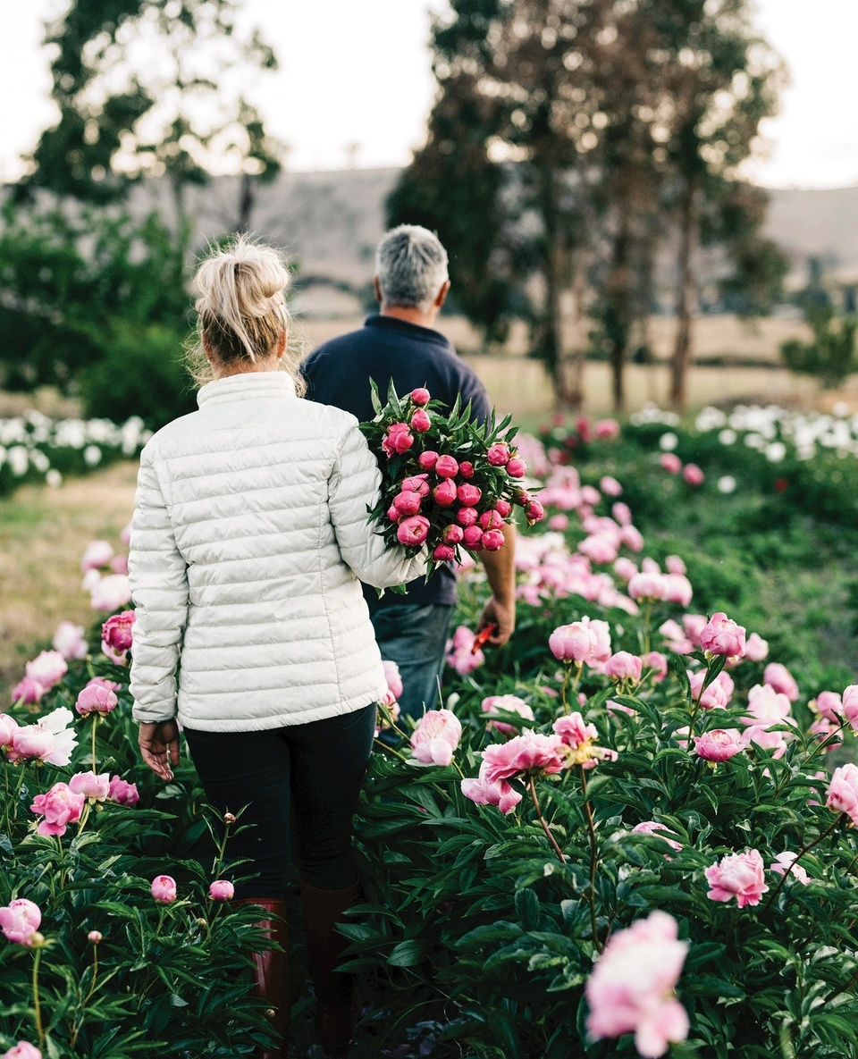 "People ask us what we do, and I will often say we save marriages. Blokes get themselves into trouble and have to buy our peonies to make up for it!" jokes Richard, who owns and runs this 7-hectare peony farm (Weston Farm) alongside his wife Belinda in Brighton, Tasmania.⁠
⁠
Making the move to the then bare canvas of a property when they were just 24, the pair have poured years of love and hard work into achieving its now thriving status. "It's that connection with the earth and it gives you a lot of happiness."⁠
⁠
Take a wander through via the link in bio.⁠
⁠
Photography: @marniehawson⁠
Words: @jessicabellef⁠
⁠
#peonies #peony #flowerfarm #brightontasmania #wildflowers