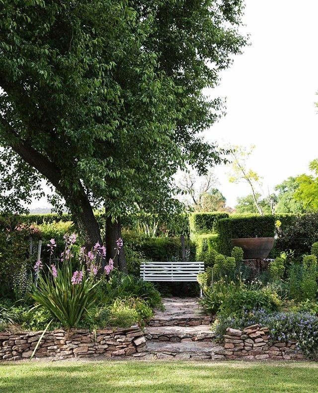 In a one-hectare garden, where rows of manicured hedges give way to rambling roses and a pool-turned-pond, there is plenty to be admired. This little bench, shaded by the generous branches of a Manchurian pear tree, is the perfect place to sit and take it all in. Can you believe that when the owner took on this project, she hadn’t even owned as much as a single pot plant? Take a stroll through the garden by clicking the link in bio.⁠
⁠
⁠
#garden ⁠
#landscaping ⁠
#gardendesign ⁠
#pear⁠
⁠
Words & Photography: @annabellehickson