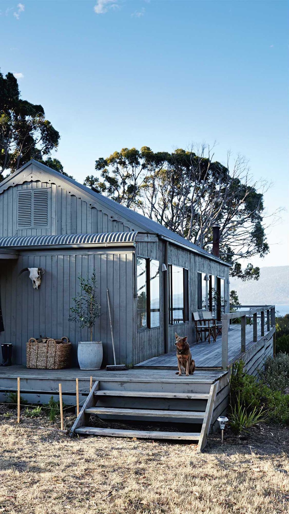 A private island set amongst rugged wilderness? It’s reality for this family, who stay here, off Tasmania’s mainland, in summer - and rent out to lucky guests year round.

#satelliteisland #islandaccommodation #tasmania #kelpie