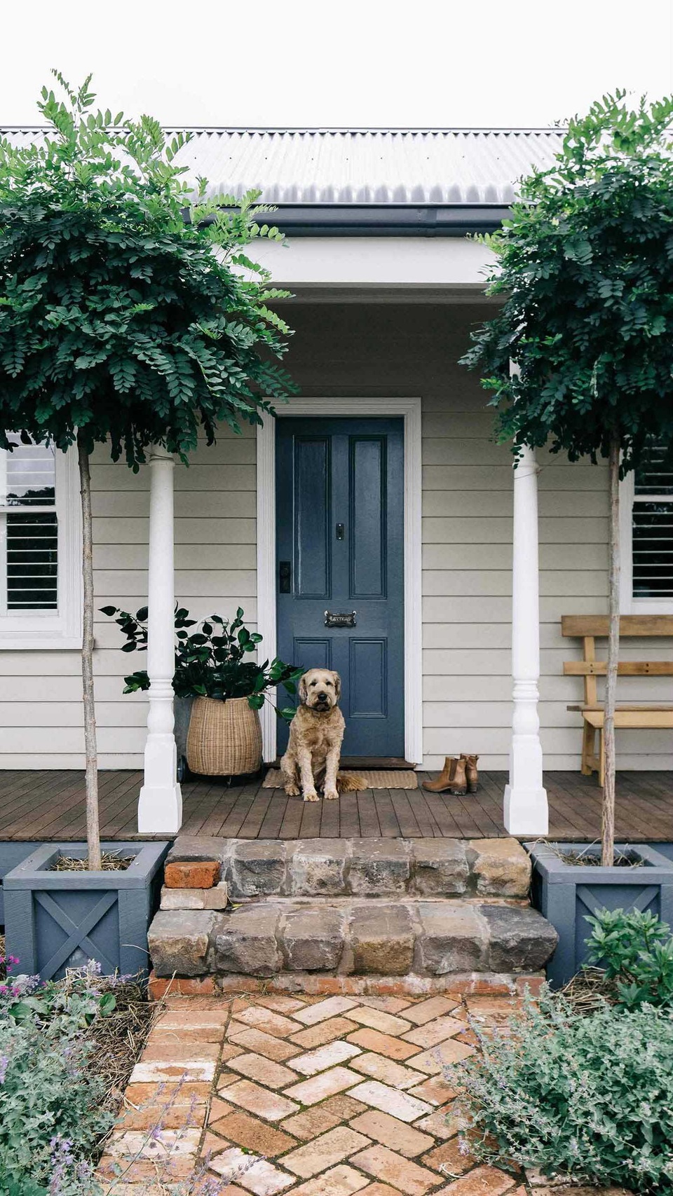 17 of Australia’s prettiest country cottages ?

#countrycottage #weatherboardhouse #countryhome #countrystylemagazineaustralia