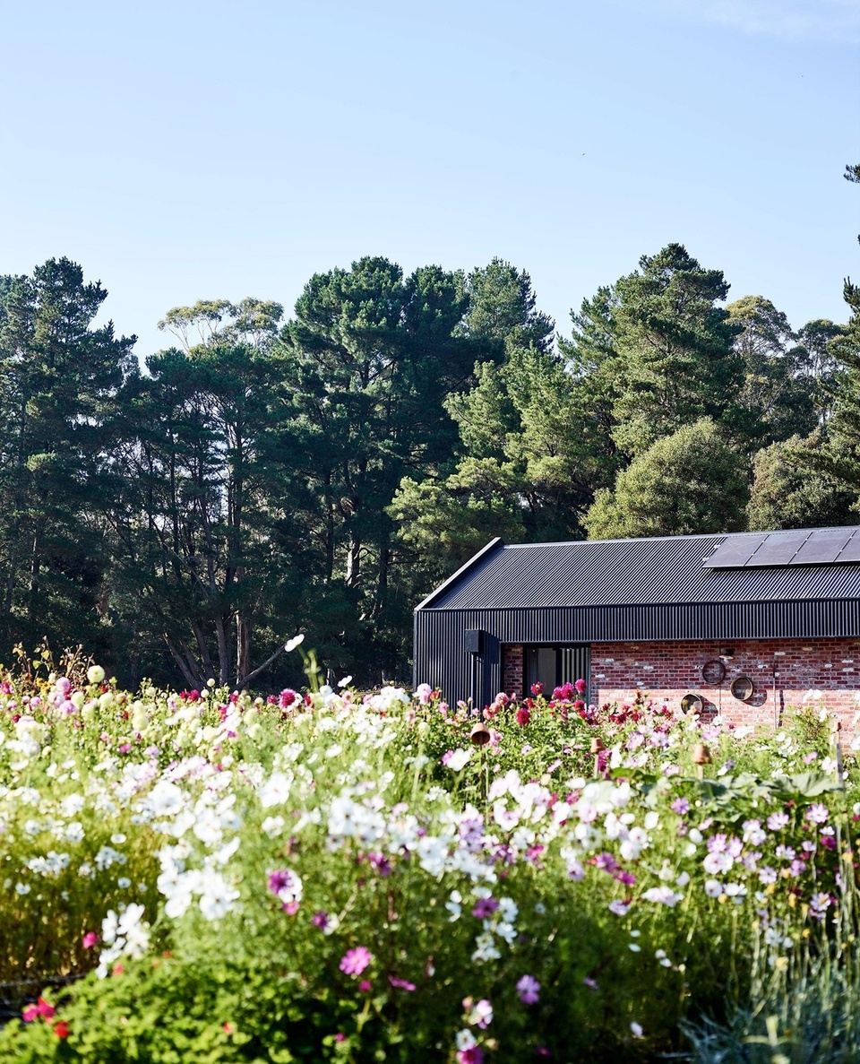 The home of flower growers Janae and Chris Pacquin-Bowden features a facade of recycled brick enveloped in Colorbond. During the build, the couple made a committment to repurpose as many old materials as possible. ⁠
⁠
Tap the link in our profile to explore their home and the @fleurs_de_lyonville flower farm, which - at various times of the year - is abloom with dahlias, ranunculus, waratahs, kangaroo paws and more.⁠
⁠
Photography: @markroperphotography⁠
Styling: @lynda.gardener + @bellebrightproject⁠
⁠
#flowerfarm #modernhome #sustainableliving #farmhouse