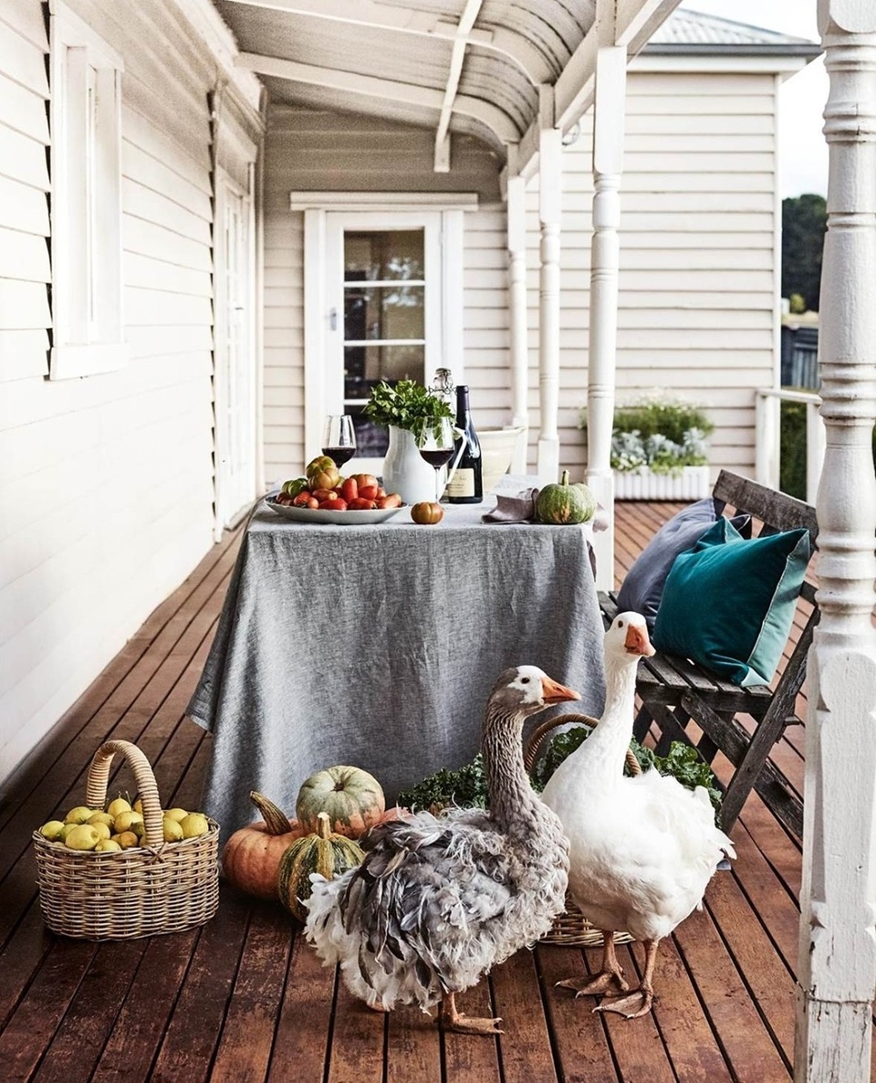 Inquisitive Sebastapol geese, with their distinctive ruffled feathers, check out the fresh produce on the verandah of Babbington Park, home of @du_fermier chef Annie Smithers. ⁠
⁠
"It's the narrative of my restaurant and me, that I grow all the stuff for my cooking at my farm," she says. ⁠
⁠
Tap the link in our profile to explore her home and farm. ⁠
⁠
Photography: @markroperphotography⁠
Styling: @lee_blaylock⁠
⁠
#verandah #geese #farmtotable #outdoorliving #farmhouse