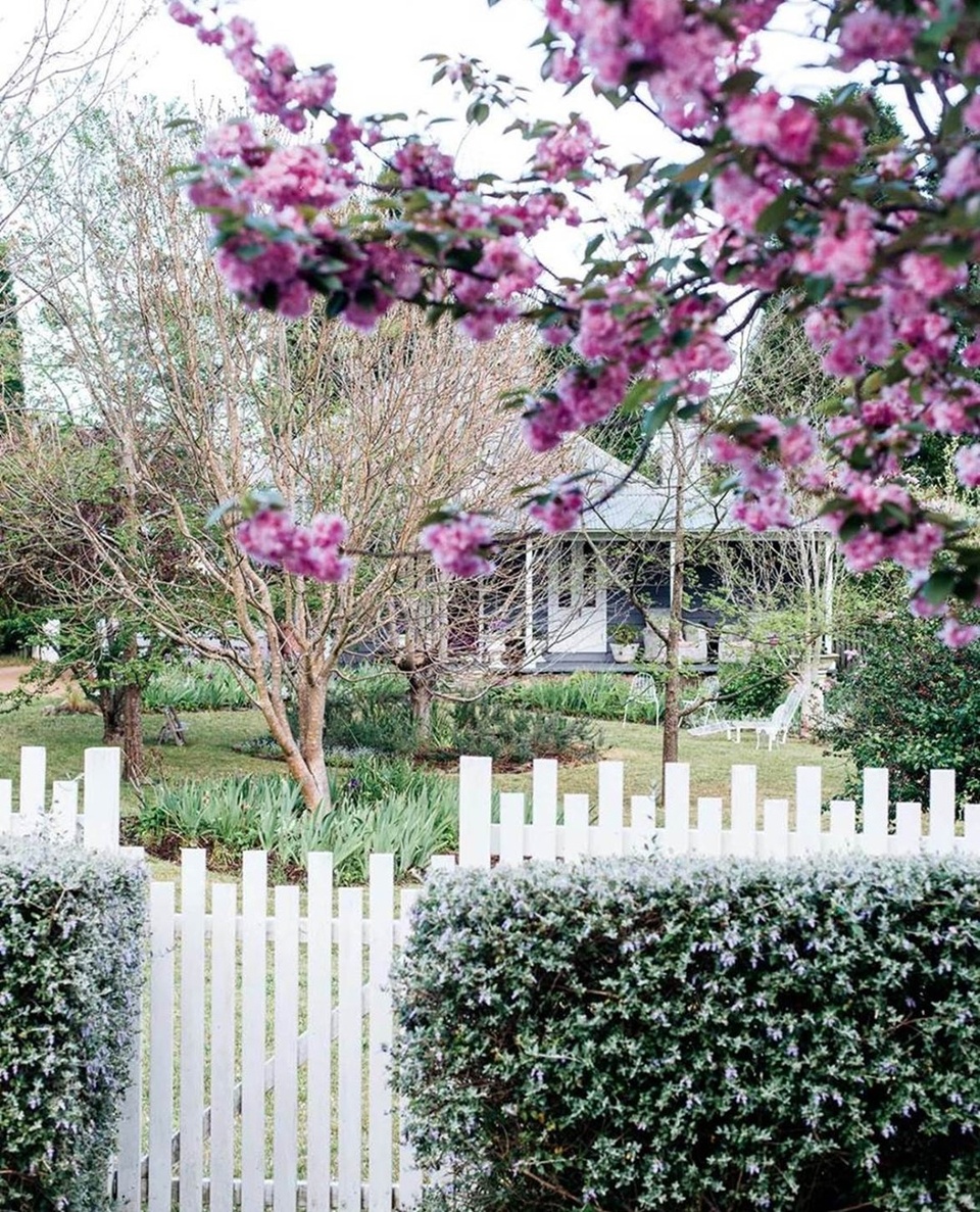 We're calling it: there is no better time of year than spring. You can smell it in the air, the #jasmine and honeysuckle popping their heads out after a chilly winter, the petals of cherry #blossom trees carpeting a lawn - is there anything more beautiful?⁠
⁠
To celebrate the first day of #spring, we've created a stunning collection of gardens in full bloom. Link in bio.⁠
⁠
Photography: @abbie_melle⁠
⁠
#flowers #frontgarden #springtime 