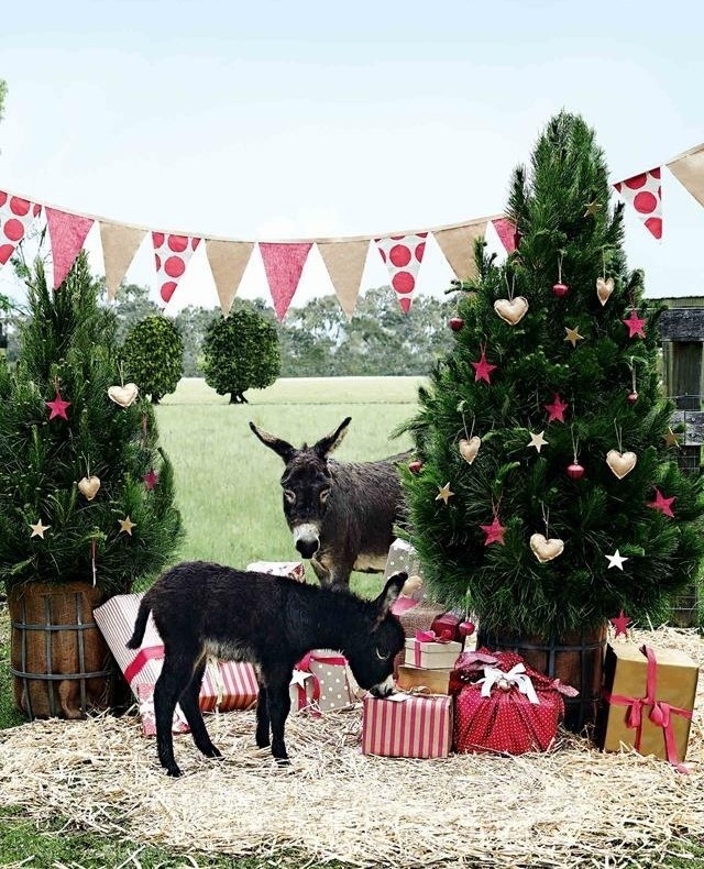 Merry Christmas from the team at Country Style. We wish you a safe and relaxing holiday season filled with joy, good food and time to connect with loved ones, whether that’s in-person, or at a distance.⁠
⁠
As we celebrate Christmas a little differently this year, take a look back at one of our most popular Christmas stories from the archives, featuring miniature donkeys Ma Bell and Ador A Bell at a farm in West Gippsland. Find the link in our bio.⁠
⁠
Photography: @markroperphotography⁠
Styling: Tessa Kavanagh⁠
⁠
⁠
 #xmas #merrychristmas #christmastree #farmlife #animals #animalsofinstagram