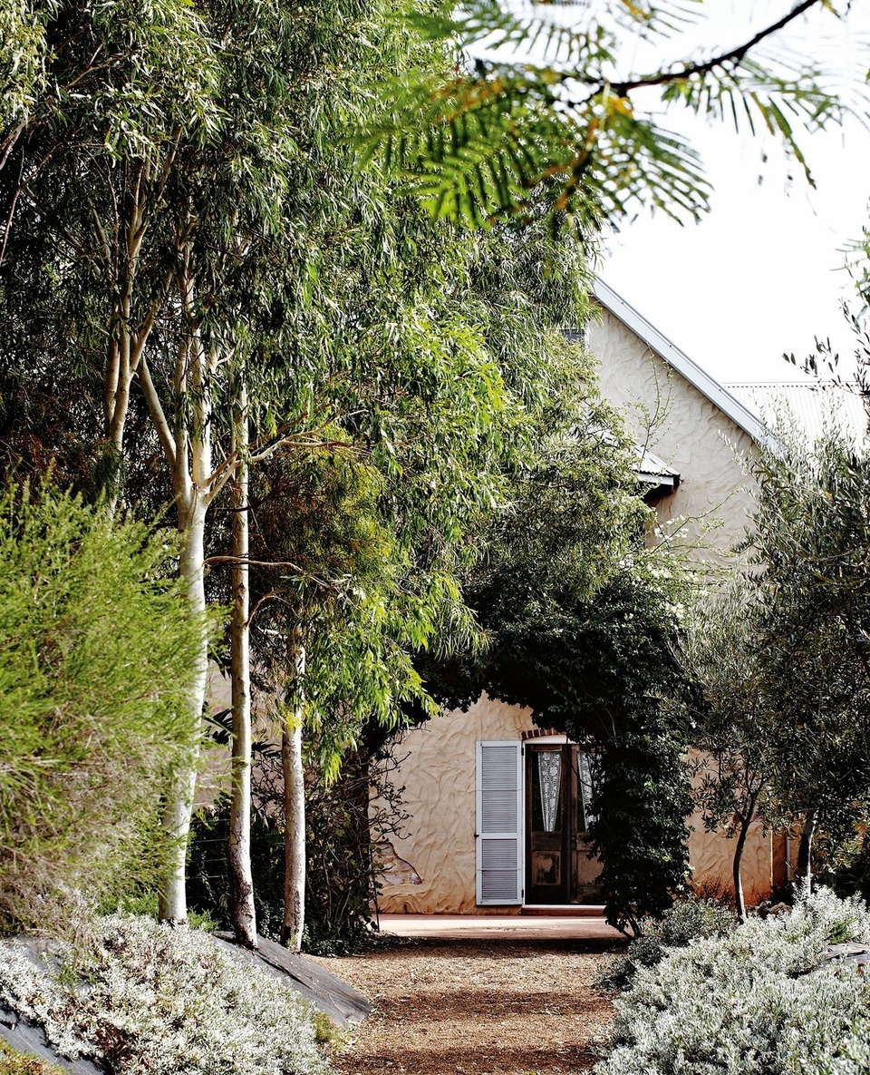 Perhaps not-so-shockingly, the creator of this gorgeous Geraldton home has roots in France's picturesque countryside.⁠
⁠
Owner Isabelle Greenfield's parents had a farmhouse in Normandy, a French coastal region where colourful window shutters, decorative timber and asymmetrical floor plans reign supreme, all features which she chose to replicate in her own Australian-based home, where she lives with her husband and children.⁠
⁠
Step inside via the link in bio.⁠
⁠
Photography: @sharyncairns⁠
⁠
#frenchhome #geraldtonwa #nativegarden #renderedexterior