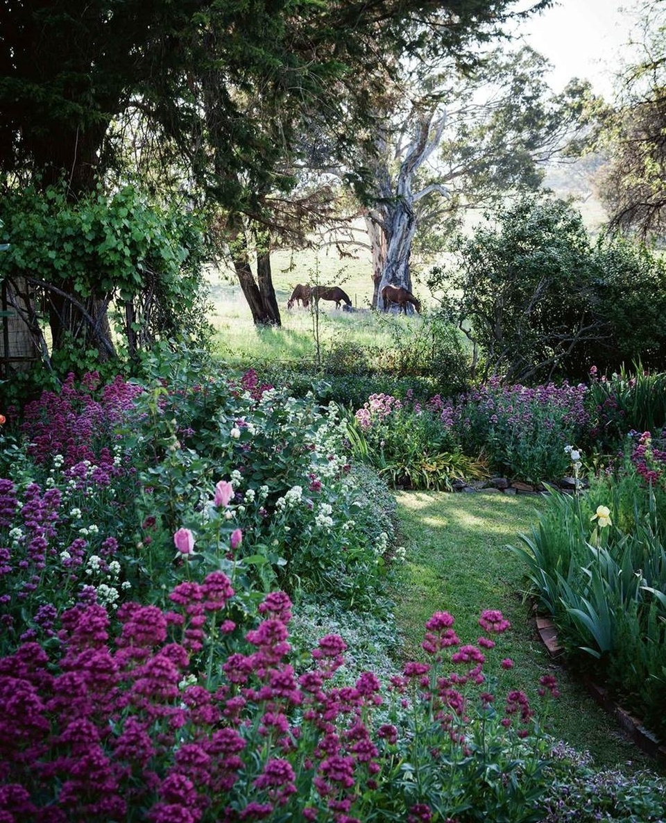 "It is a relaxing #garden," says the owner of this enchanting oasis in northern NSW. "The garden can be appreciated from many different angles, and I enjoy the colour schemes that emerge throughout the seasons, from yellow and white to pink."⁠
⁠
Tap the link in our bio to take a wander. ⁠
⁠
Photography: @mtwee1⁠
⁠
#countrygarden #australiangarden #flowerbed #farmgarden