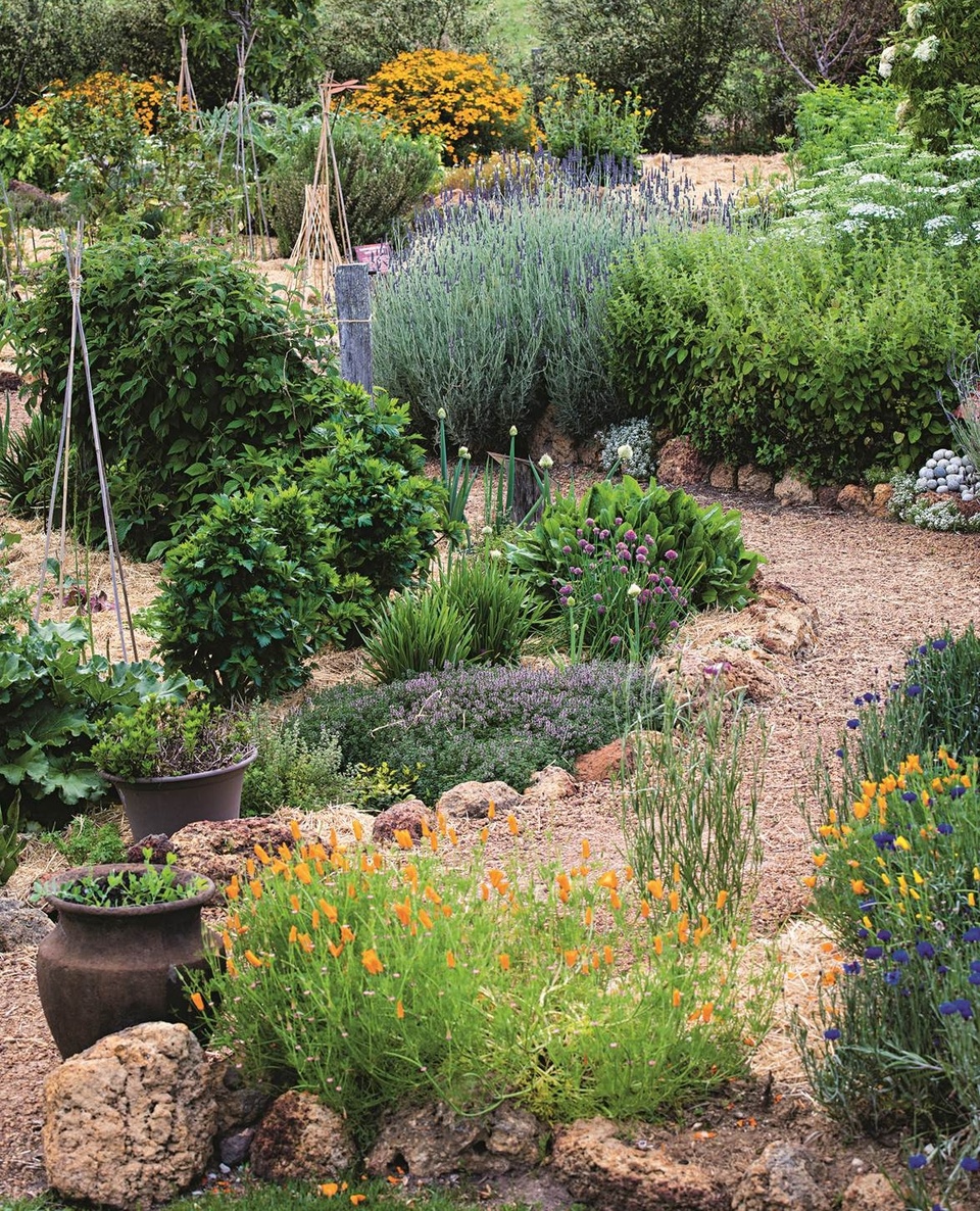 Visitors can wander through this #SensoryGarden at @whicherridgewines and learn about flavours as well as food and wine pairing. ⁠
⁠
"People really enjoy touching, smelling and crushing the herbs and edible flowering plants, and you can see little light bulbs come on as they connect what they are seeing and smelling with what they are experiencing in the wine," says owner and wine maker, Cathy.⁠
⁠
Tap the link in our bio to take a tour.⁠
⁠
Photography: @clairetakacs ⁠
⁠
#margaretriverregion #margaretriverwine #WAwine