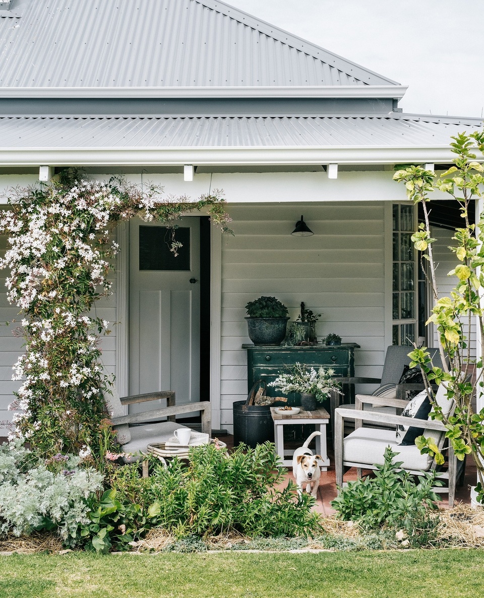 We challenge you to present us with a country verandah we don't fall head over heels for.⁠
⁠
From comfy occasional chairs to spend the day on, to flowering plants climbing the timber beams; as the John Williamson song goes, every home that yields to the Australian dream requires a "verandah out the front".⁠
⁠
We've pulled together 18 country verandahs you'll want to relax on. Take a look via the link in bio.⁠
⁠
Photography: @marniehawson⁠ // @lisacohenphoto // @markroperphotography⁠
Styling: @jocarmichaelinteriors⁠ // @tess.newman.morris // @lee_blaylock⁠
Words: @tahnimesann⁠
⁠
#countryverandah #jasmine #climbingjasmine #verandah