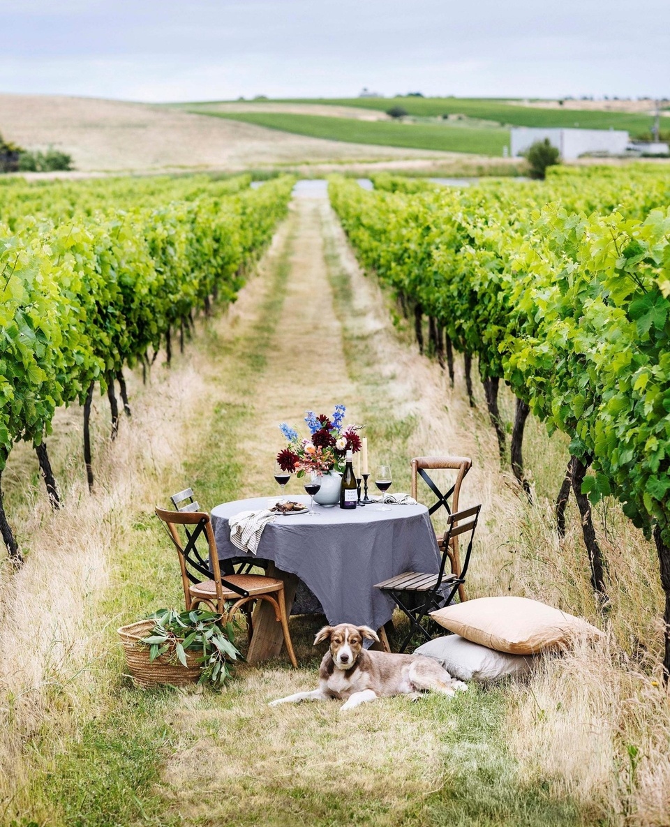 Whether it's signaled by the long-awaited arrival of a weekend or simply the end of a busier than usual day, it's fair to say that a good glass of wine is never far from many Australian's minds.⁠
⁠
While of course there exist coveted regions around the world that produce fine wine, there is truly something to be said for our own homegrown industry. So, if a weekend of wine tasting, wandering rural scapes and fresh air appeals, set off to these beautiful boutique wineries around Australia.⁠
⁠
Start your road trip itinerary by tapping the link in bio.⁠
⁠
Styling: @belljarinteriors⁠
Words: @lucycf94⁠
⁠
#nashdalewines #orangensw #winery #vineyard