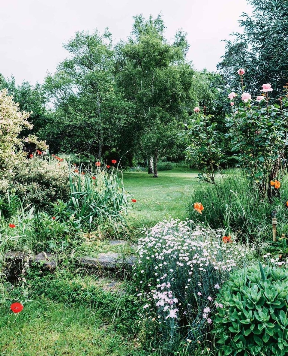 Acclaimed painter Lucy Culliton's bright, joyful garden is filled with beloved rescue animals and fiery poppies.⁠
⁠
"I'm never bored as there's always things to do... a garden is never finished," she says."⁠
⁠
Tap the link in our profile to wander through the garden.⁠
⁠
Photography: @mtwee1⁠
⁠
#poppies #countrygarden #cottagegarden #australianartist