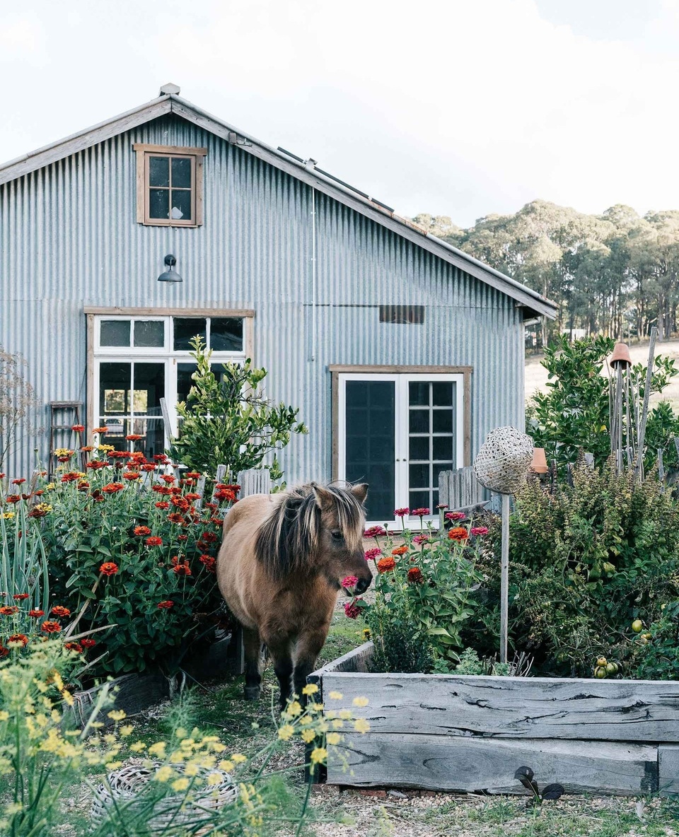 Home to sweet girl Georgie, Black Barn Farm has steadily been transformed since Jade Miles and her partner Charlie Showers purchased it into a thriving property, boasting organic permaculture produce gardens, a small-scale orchard, a nursery and an education centre.⁠
⁠
"We'd always known we wanted to farm but we're first-generation farmers so we couldn't rely on inheriting property, we had to do it ourselves," says Jade.⁠
⁠
Explore the property via the link in bio.⁠
⁠
Photography: @marniehawson⁠
Styling: @toni_tandco⁠
Words: @ginimhoff⁠
⁠
#pony #corrugatedironbarn #countrygarden #barnstylehome