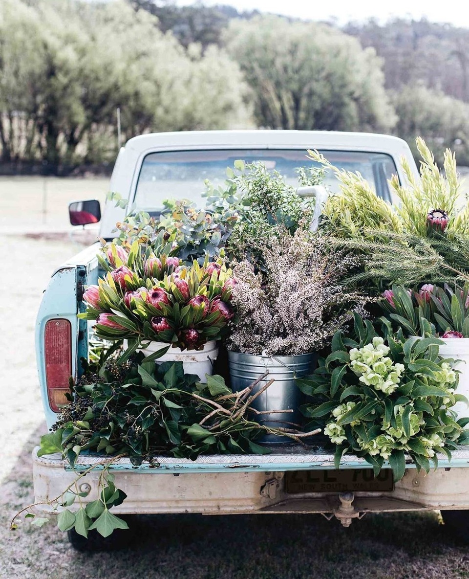 After the rush of spring wedding season and the busy lead-up to #Christmas, the day itself will be a decidedly relaxed affair for Cooma-based florist Gabrielle Merrigan.⁠
⁠
"It's a nice time to just shut up shop and catch up with family and friends — really have a good holiday," says the 35-year-old, who runs florist and gift store, @theflowerpantrycooma⁠
⁠
Tap the link in our bio to find out how the move to #Cooma allowed Gabby to finally realise her long-held dream of becoming a #florist and opening a shop. ⁠
⁠
Photography: @abbie_melle